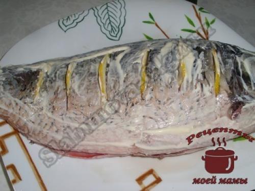 Карп в духовке с овощами и картошкой. Запеченный карп с картошкой