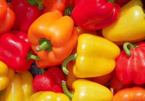 Как закрыть болгарский перец на зиму для фаршировки в банке. Заготовка перца на зиму для фарширования — проверенные рецепты