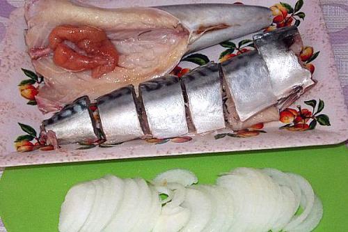 Как засолить скумбрию в домашних условиях вкусно в рассоле и быстро. Рецепт 1: как посолить скумбрию в рассоле (пошаговые фото)
