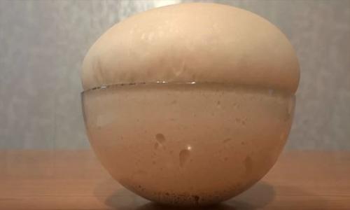 Быстрое Дрожжевое тесто для пиццы из сухих дрожжей. Дрожжевое тесто для пиццы — 5 рецептов теста на сухих дрожжах