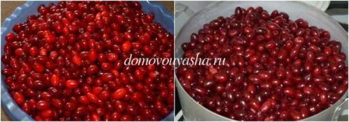 Джем из кизила на зиму с желатином. Джем из кизила без косточек