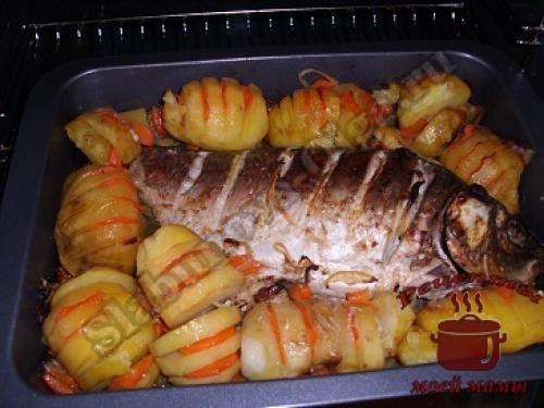Карп в духовке с овощами и картошкой. Запеченный карп с картошкой