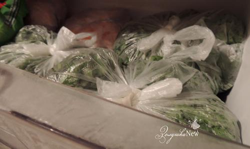 Можно ли заморозить щавель на зиму и как. Самый лучший способ заготовки щавеля на зиму