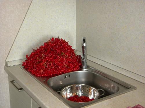 Калина с сахаром в блендере. Калина протертая с сахаром. Мой фирменный рецепт.