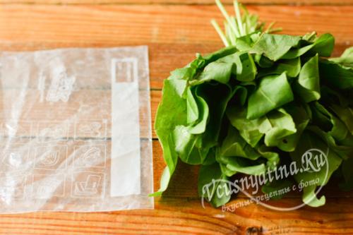 Как заготовить на зиму щавель можно ли его заморозить. Заморозка щавеля в пакетах в морозилке на зиму