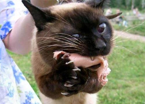 Вареное сало пятиминутка. Сало "пятиминутка" — вкуснятина невероятная!