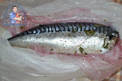 Засолка филе скумбрии в домашних условиях сухим способом. Как вкусно засолить скумбрию целиком сухим способом без рассола