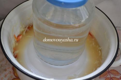 Рецепт капусты провансаль быстрого приготовления с болгарским перцем. Как приготовить капусту Провансаль — рецепт пошагово с фото