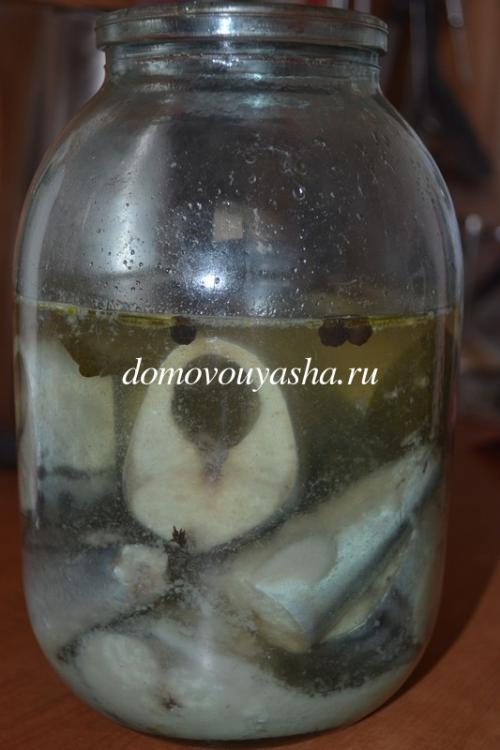 Скумбрия в пряном рассоле рецепт. Рецепт скумбрии пряного посола. Вкусная слабосоленая скумбрия