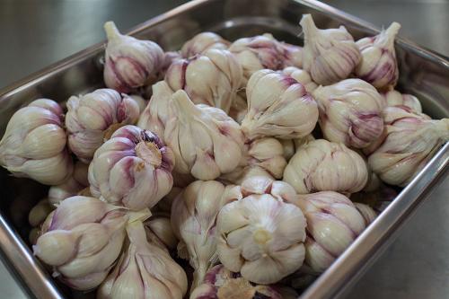 Маринованный чеснок хрустящий. Маринованный чеснок