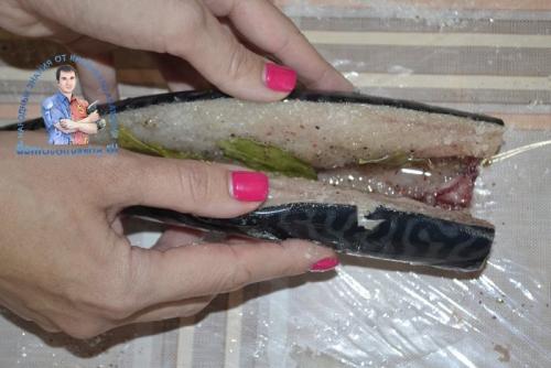 Скумбрия сухого посола в пакете. Рецепт с фото, всегда получается малосольная и вкусная