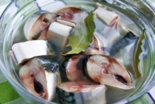 Рецепт, как засолить скумбрию в домашних условиях вкусно и быстро. Очень вкусная скумбрия, соленая в домашних условиях: 5 лучших рецептов