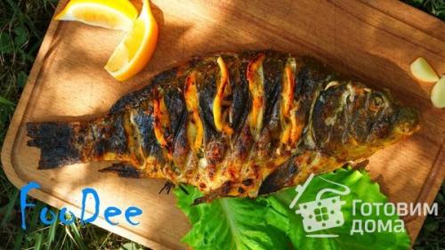 Карп в духовке с лимоном. Карп запеченный с лимоном, луком и зеленью