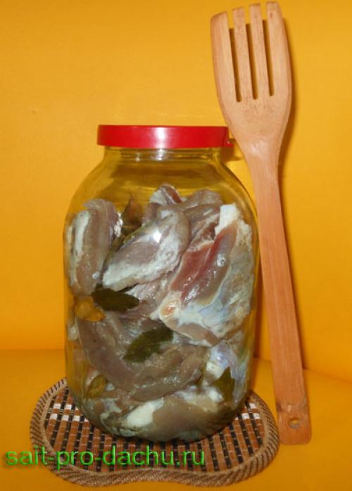 Как сделать солонину в домашних условиях из свинины. Вкуснейшая и ароматная солонина из свинины