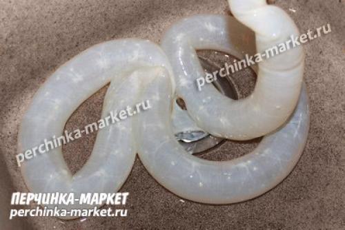 Суджук рецепт приготовления в домашних условиях. 