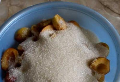 Консервированная Слива в сиропе рецепты на зиму. Консервированные сливы на зиму - 6 рецептов