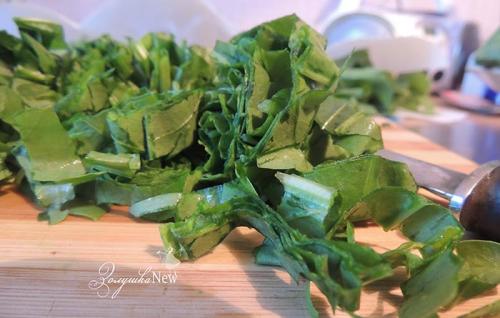 Можно ли заморозить щавель на зиму и как. Самый лучший способ заготовки щавеля на зиму