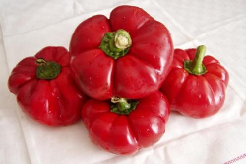 Перец для фарширования сорта. Лучшие сорта сладкого перца для фаршировки, видео вкуснейшего фаршированного перца с рецептом