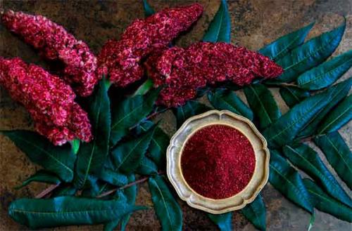 Из чего делают приправу сумах и для каких блюд используют