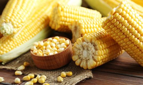 Кукуруза на зиму в домашних условиях