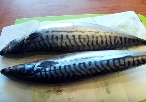 Как засолить скумбрию в рассоле. Скумбрия пряного посола за сутки