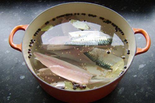 Сухой посол скумбрии для копчения. Засолка скумбрии для холодного копчения