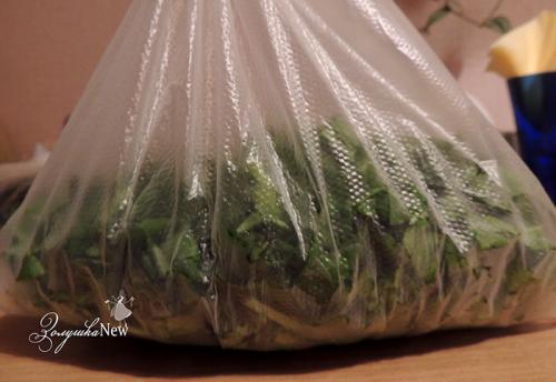 Можно ли заморозить щавель на зиму и как. Самый лучший способ заготовки щавеля на зиму