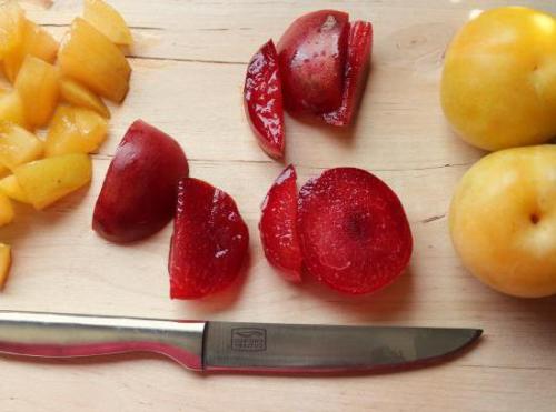 Сливовый соус к мясу название. Рецепт сливового соуса к мясу: грузинская и китайская тема