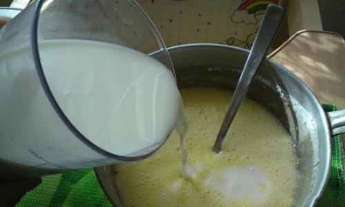 Торт из печенья рыбки без выпечки со сгущенкой и сметаной. Все смешали — и готово!