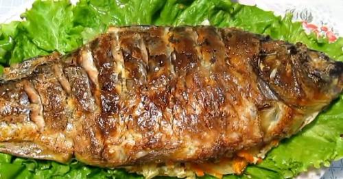 Карп в духовке со сметаной. Карп запеченный в сметане в духовке рецепт