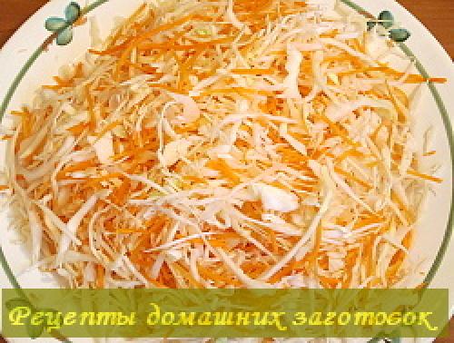 Капуста квашеная быстрого приготовления в рассоле с уксусом и маслом и морковью. Квашеная капуста в рассоле с уксусом