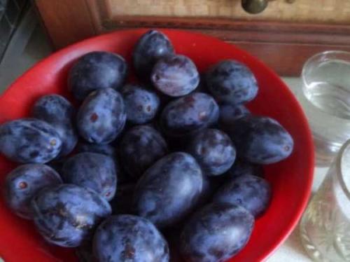 Консервированная слива в сиропе рецепты на зиму. Консервированные сливы на зиму - 6 рецептов