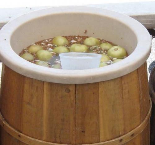 Бочковые зеленые помидоры с горчицей. Описание приготовления