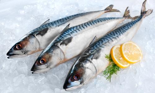 Рецепт, как посолить скумбрию в домашних условиях вкусно и быстро. Скумбрия солёная в домашних условиях