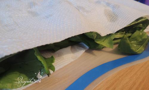 Можно ли заморозить щавель на зиму и как. Самый лучший способ заготовки щавеля на зиму