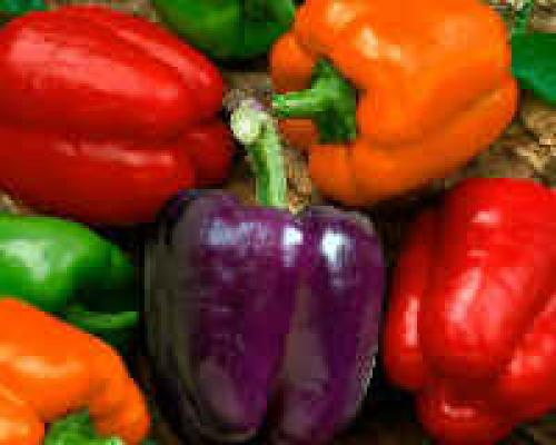 Как заготовить перец на зиму для фарширования без уксуса. Заготовка перца на зиму для фарширования — проверенные рецепты