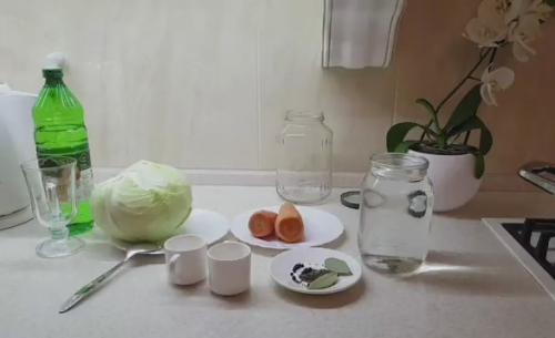 Маринованная капуста быстрого приготовления быстро и очень вкусно. Капуста маринованная быстрого приготовления — ну очень вкусный рецепт на 3 литровую банку