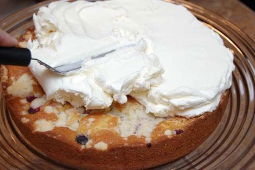 Сливочный сыр из молока и сметаны. Домашний сыр из сливок, сметаны и молока