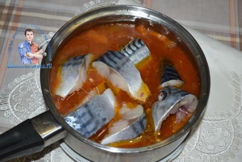 Как приготовить скумбрию в томатном соусе с овощами. Скумбрия в томатном соусе с овощами — рецепт с фото