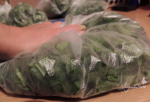 Можно ли заморозить щавель на зиму и как. Самый лучший способ заготовки щавеля на зиму