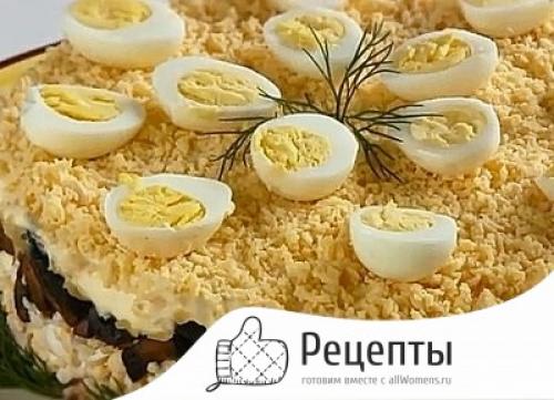 Салат с куриной грудкой и грибами слоями. Слоёный салат с курицей и грибами «Шик»