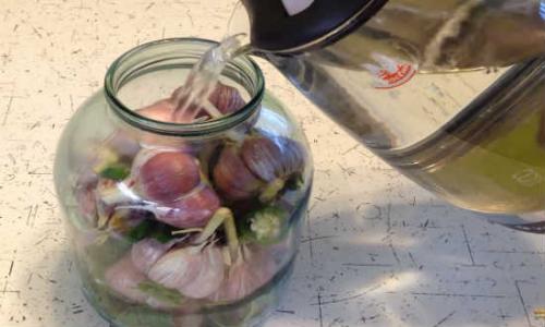 Маринованный чеснок целыми головками, как на рынке рецепт на зиму. Чеснок на зиму маринованный головками как на рынке