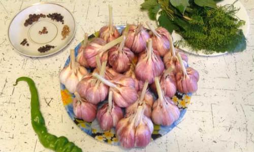 Маринованный чеснок целыми головками рецепт, как на рынке. Чеснок на зиму маринованный головками как на рынке