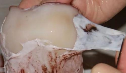 Салат тритон с кальмарами, крабовыми палочками и ветчиной