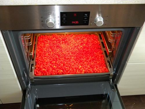 Калина с сахаром в блендере. Калина протертая с сахаром. Мой фирменный рецепт.