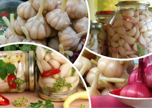 Маринованный чеснок польза. Полезен ли маринованный чеснок? (+рецепт)