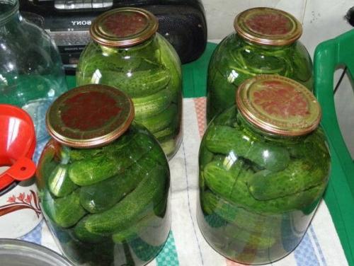 Соленые огурцы на зиму рецепты хрустящие на 1 литр воды. Маринованные и хрустящие огурцы на зиму в банках