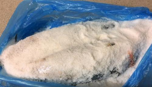 Засолка скумбрии сухой способ в домашних условиях рецепты. Сухой способ соления скумбрии целиком с головой