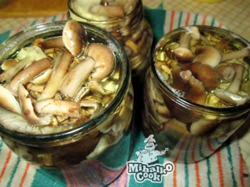 Маринад для опят на 1 литр воды с чесноком на зиму. Маринованные опята