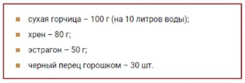 Быстрые помидоры с горчицей. Лучшие рецепты помидоров с горчицей на зиму